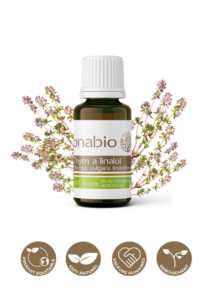 HE 100 bio Thym à linalol (thymus vulgaris linaloliferum) Onabio